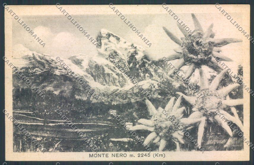Gorizia Monte Nero cartolina ZQ2978 – fronte