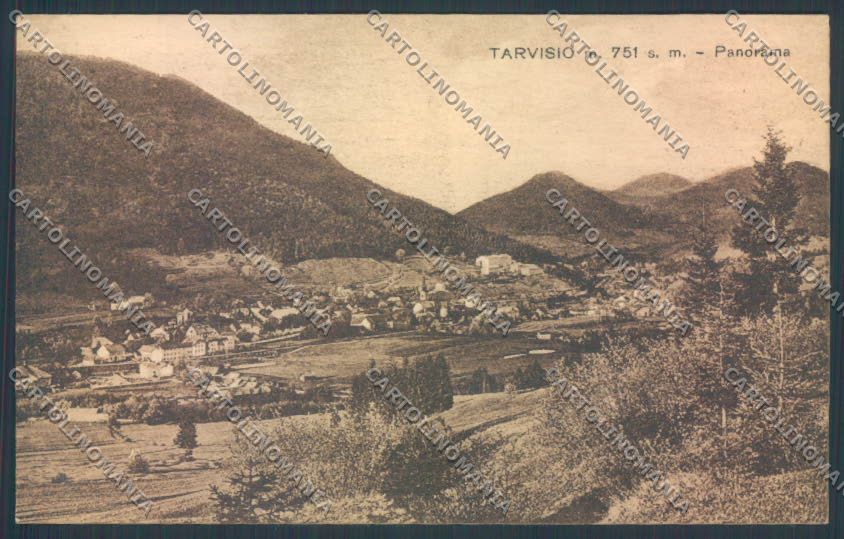 Udine Tarvisio cartolina ZQ3573 – fronte