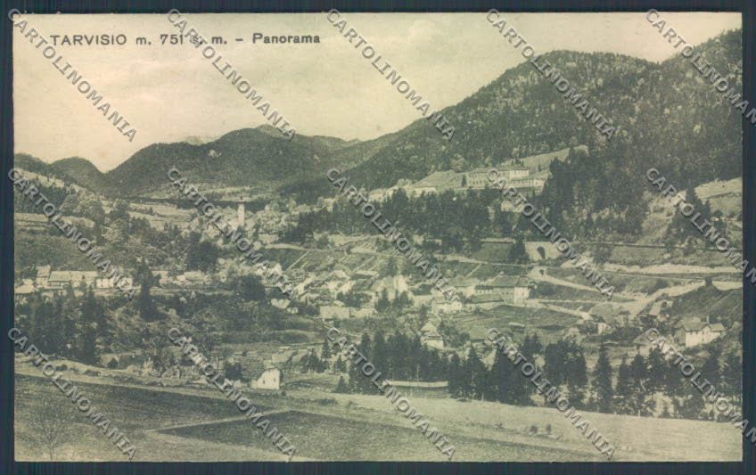 Udine Tarvisio cartolina ZQ3576 – fronte