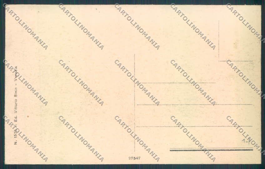 Udine Tarvisio cartolina ZQ3576 – retro
