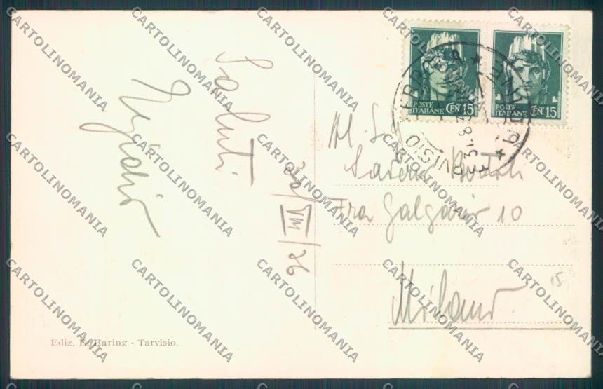Udine Tarvisio cartolina ZQ3586 – retro