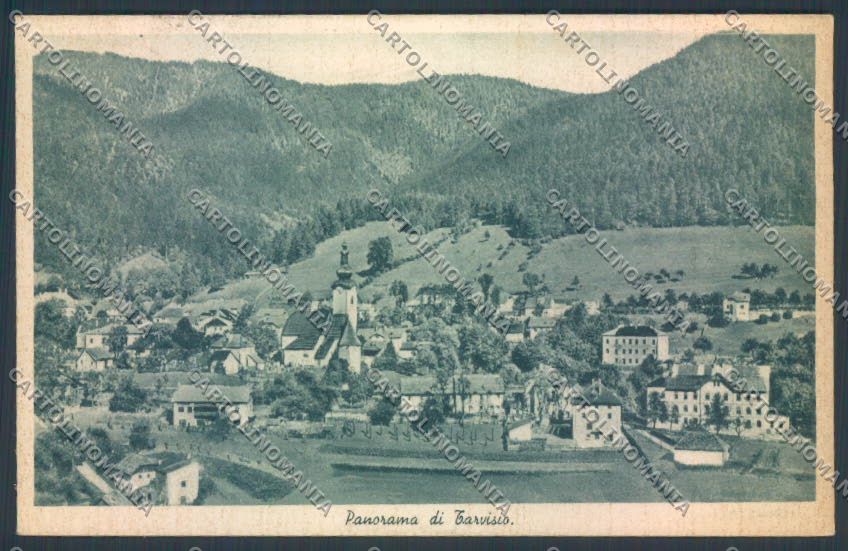 Udine Tarvisio cartolina ZQ3590 – fronte