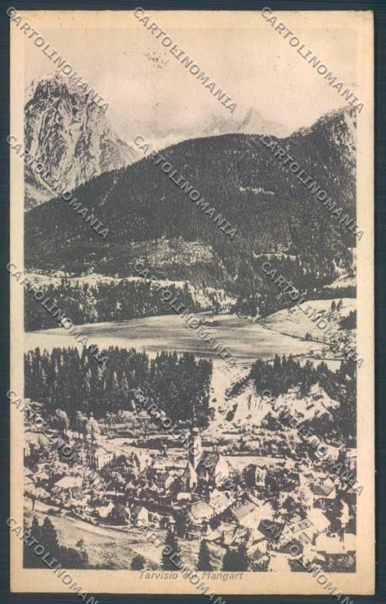 Udine Tarvisio cartolina ZQ3591 – fronte