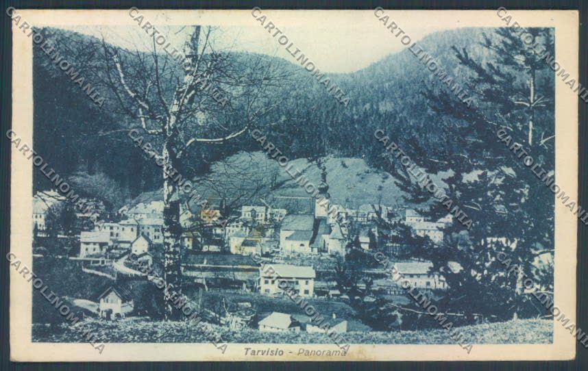 Udine Tarvisio cartolina ZQ3593 – fronte