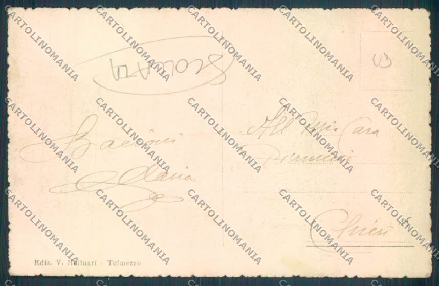 Udine Tolmezzo SCOLLATA cartolina ZQ3662 – retro