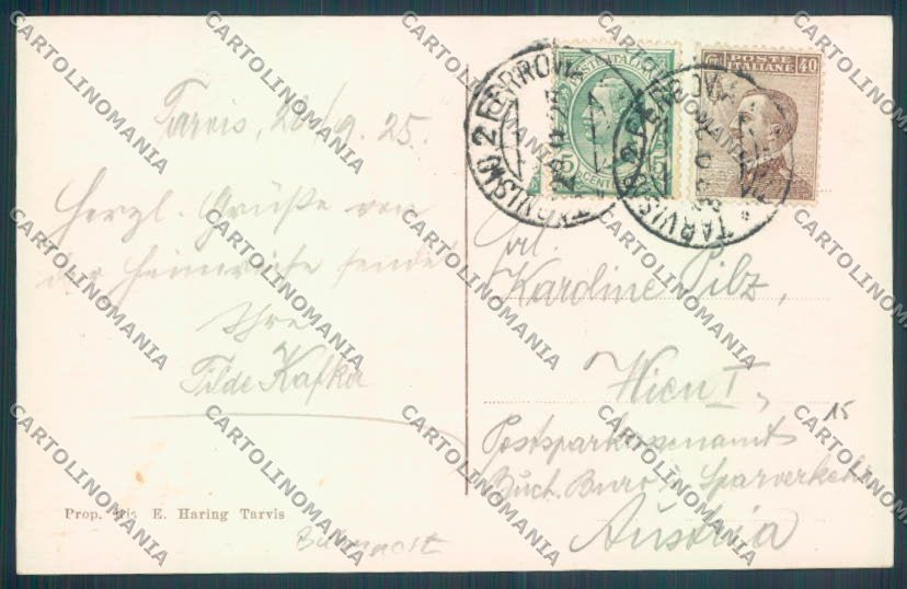 Udine Carnia Lago di Raibl Foto cartolina ZQ3799 – retro