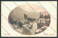 Udine Carnia Capra cartolina ZQ3806 – fronte
