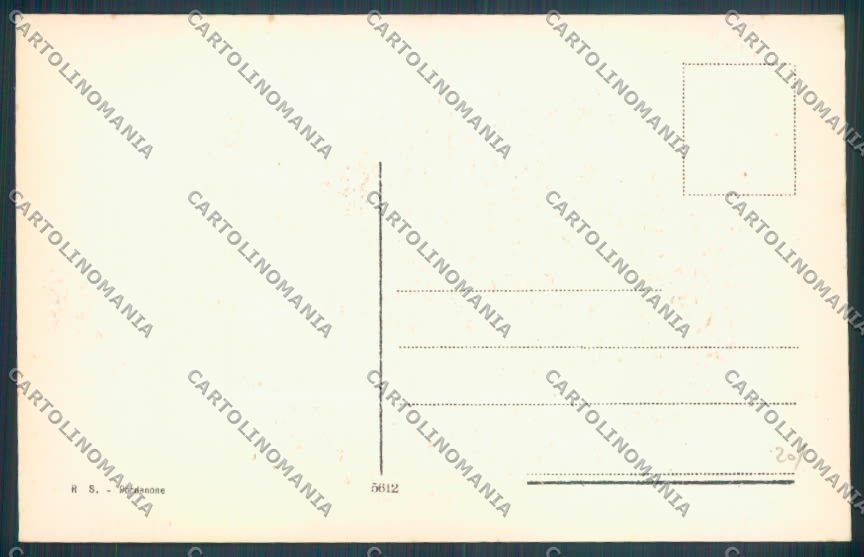 Udine Carnia cartolina ZQ3808 – retro