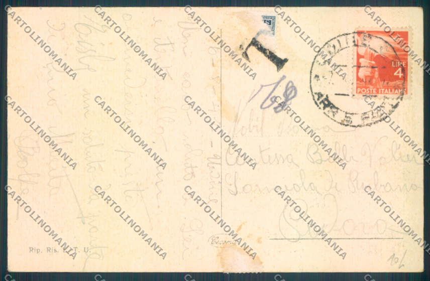 Udine Città cartolina ZQ3991 – retro
