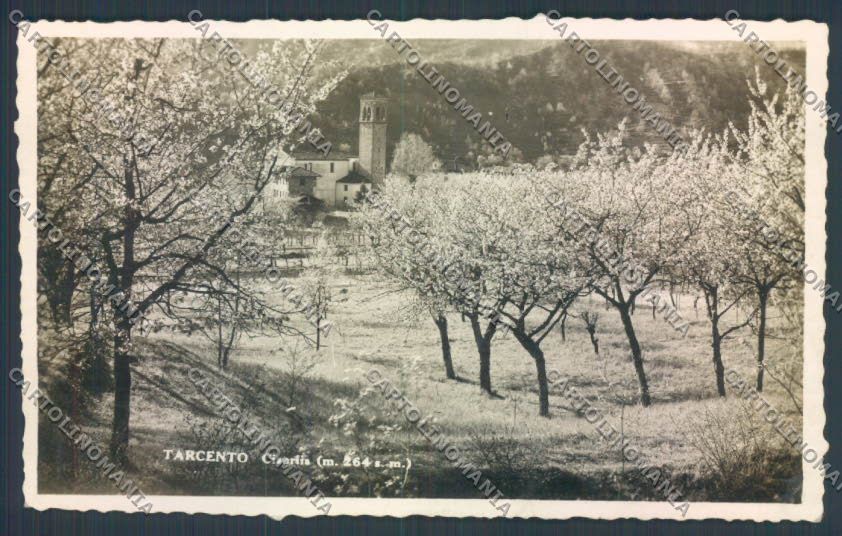 Udine Tarcento Foto cartolina ZQ4303 – fronte
