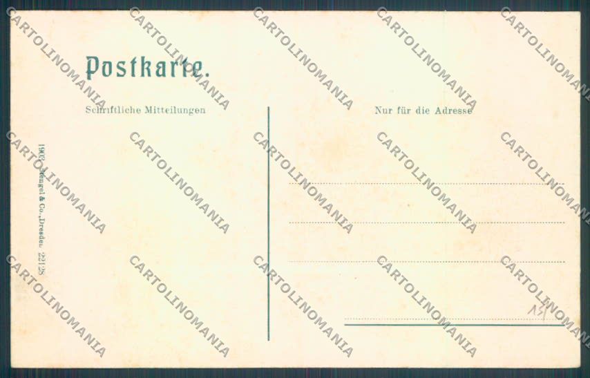 Udine Tarvisio cartolina ZQ4313 – retro