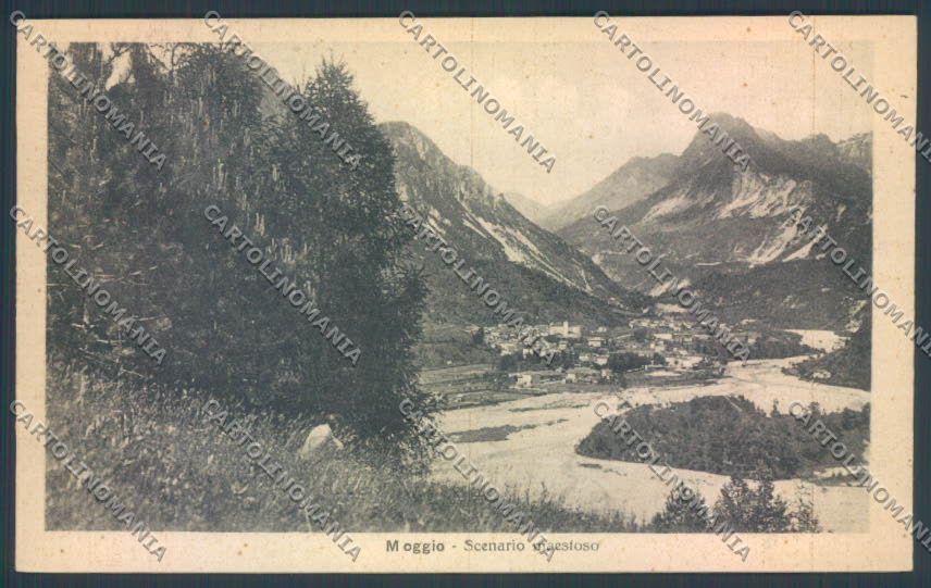 Udine Moggio Udinese cartolina ZQ4341 – fronte