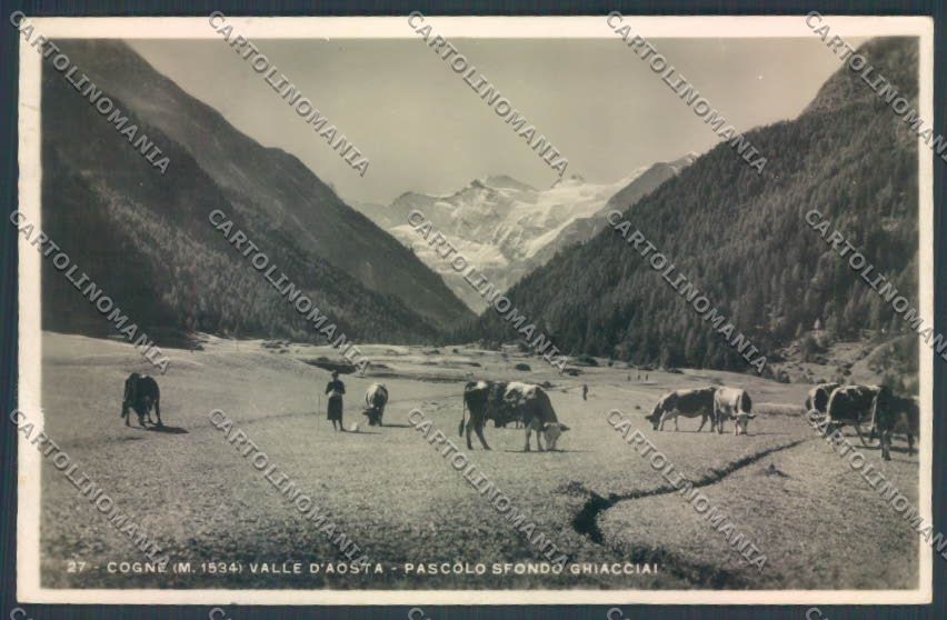 Aosta Cogne Foto cartolina ZQ4503 – fronte