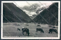 Aosta Cogne Foto cartolina ZQ4544 – fronte