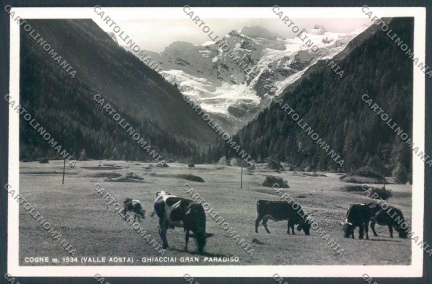 Aosta Cogne Foto cartolina ZQ4544 – fronte