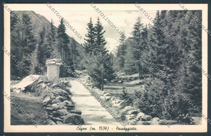 Aosta Cogne cartolina ZQ4583 – fronte