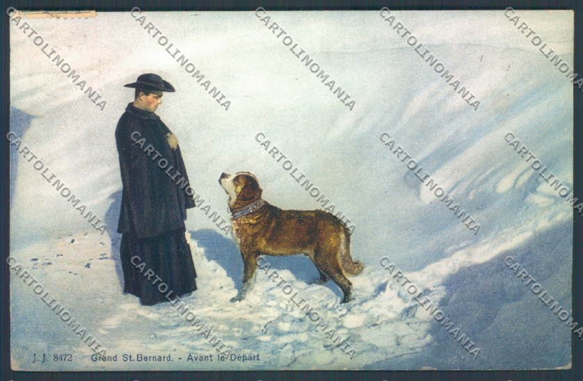 Aosta Gran San Bernardo Nevicata Cane Dog cartolina ZQ4680 – fronte