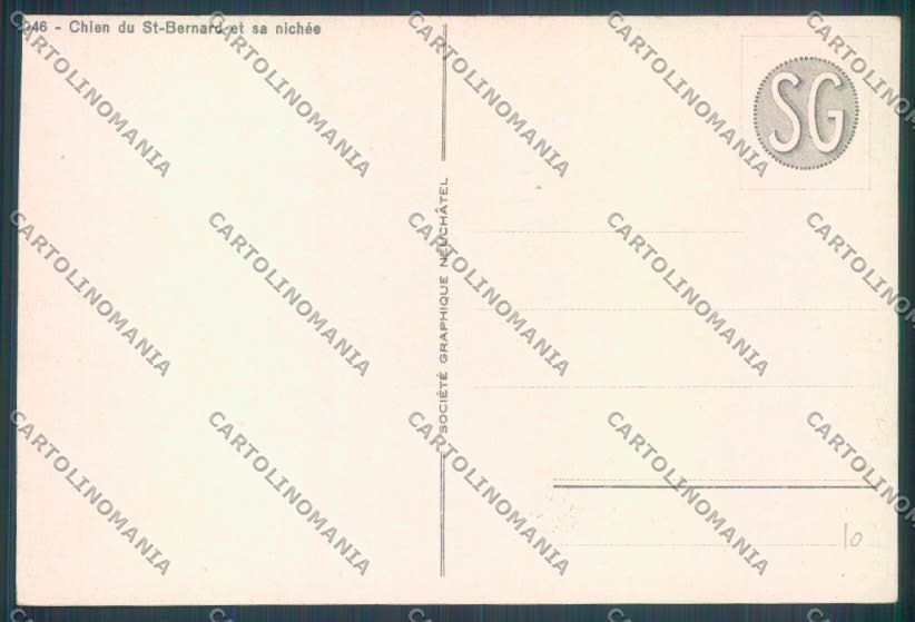 Aosta Gran San Bernardo Cane Dog cartolina ZQ4682 – retro