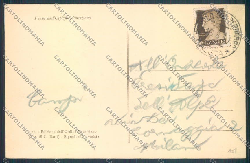 Aosta Gran San Bernardo Cane Dog cartolina ZQ4687 – retro