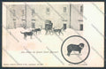 Aosta Gran San Bernardo Cane Dog cartolina ZQ4689 – fronte
