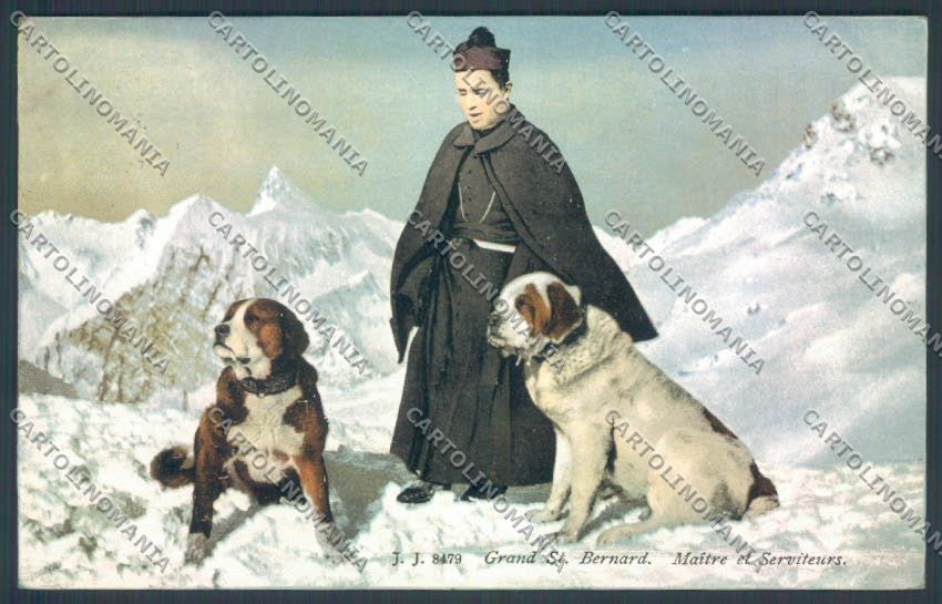 Aosta Gran San Bernardo Nevicata Cane Dog cartolina ZQ4690 – fronte