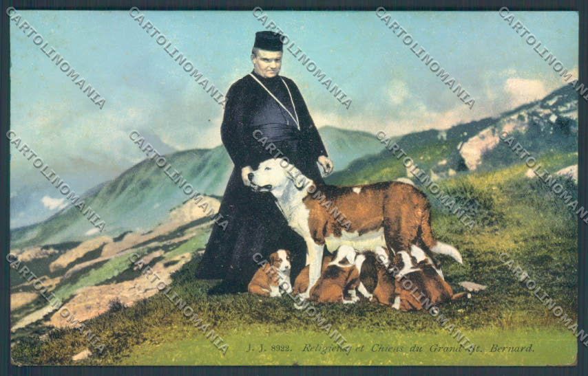 Aosta Gran San Bernardo Cane Dog cartolina ZQ4692 – fronte