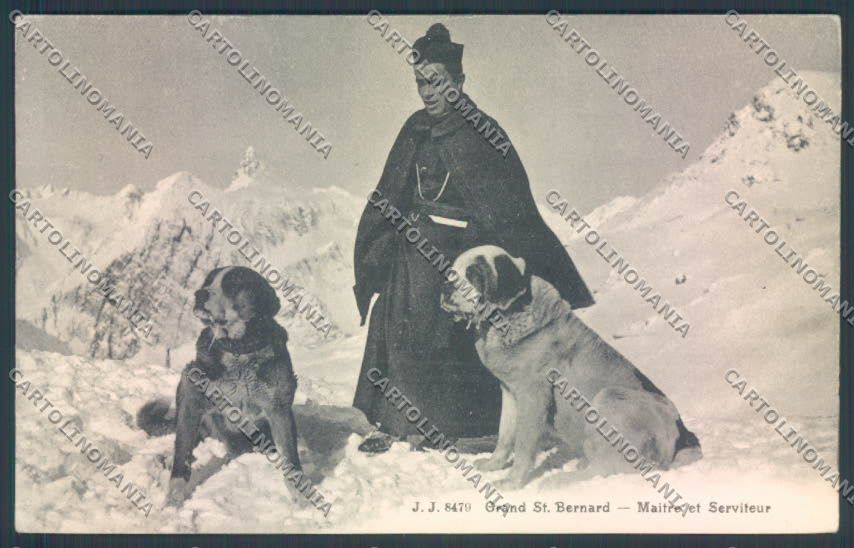 Aosta Gran San Bernardo Nevicata Cane Dog cartolina ZQ4704 – fronte