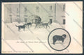 Aosta Gran San Bernardo Cane Dog cartolina ZQ4705 – fronte