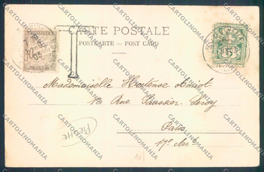 Aosta Gran San Bernardo PIEGHE Cane Dog cartolina ZQ4707 – retro