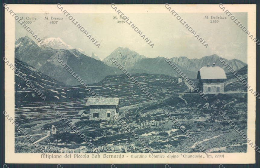 Aosta La Thuile Piccolo San Bernardo cartolina ZQ4912 – fronte