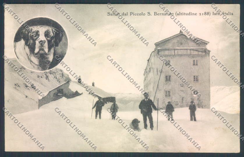 Aosta La Thuile Piccolo San Bernardo Nevicata Cane Dog cartolina ZQ4924 – fronte