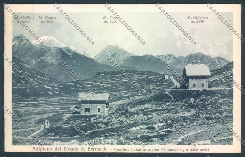 Aosta La Thuile Piccolo San Bernardo cartolina ZQ4932 – fronte