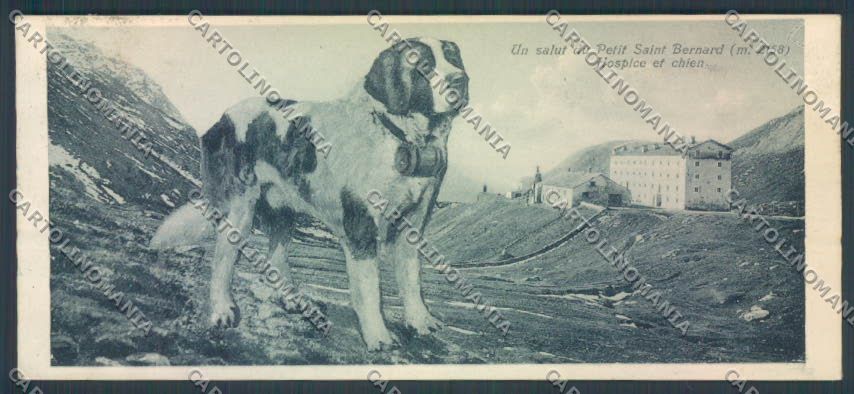Aosta La Thuile Piccolo San Bernardo Cane Dog Mini cartolina ZQ4937 – fronte