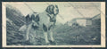 Aosta La Thuile Piccolo San Bernardo Cane Dog Mini cartolina ZQ4937 – fronte
