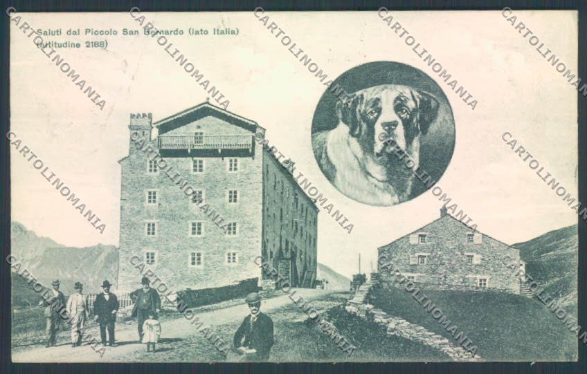 Aosta La Thuile Piccolo San Bernardo Genta Cane Dog cartolina ZQ4942 – fronte