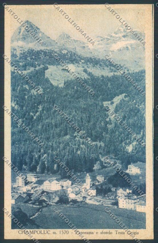 Aosta Ayas Champoluc cartolina ZQ4949 – fronte