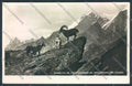 Aosta Valle d'Aosta Gran Paradiso Stambecco Foto cartolina ZQ5075 – fronte