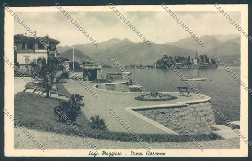 Verbania Stresa cartolina ZQ5389 – fronte