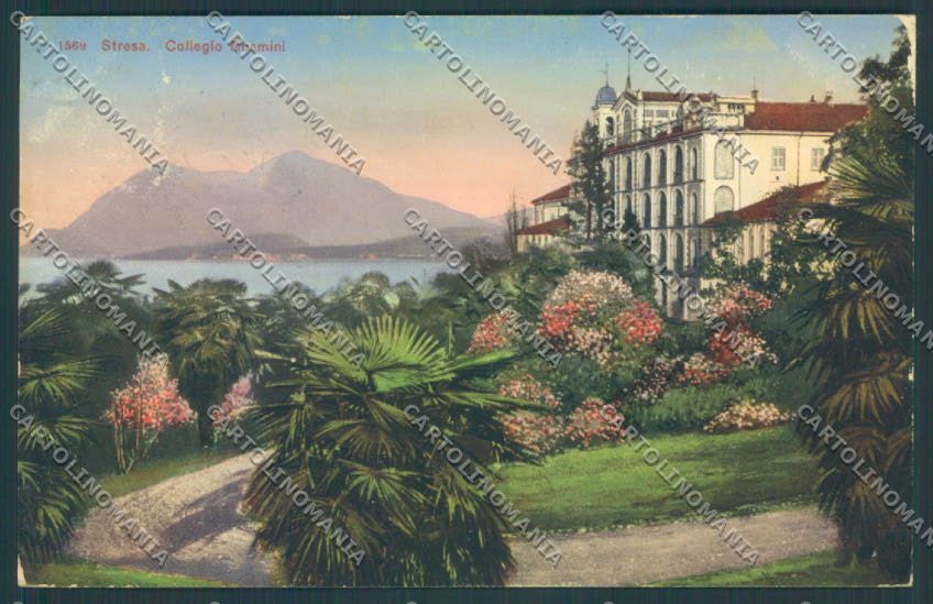 Verbania Stresa cartolina ZQ5394 – fronte