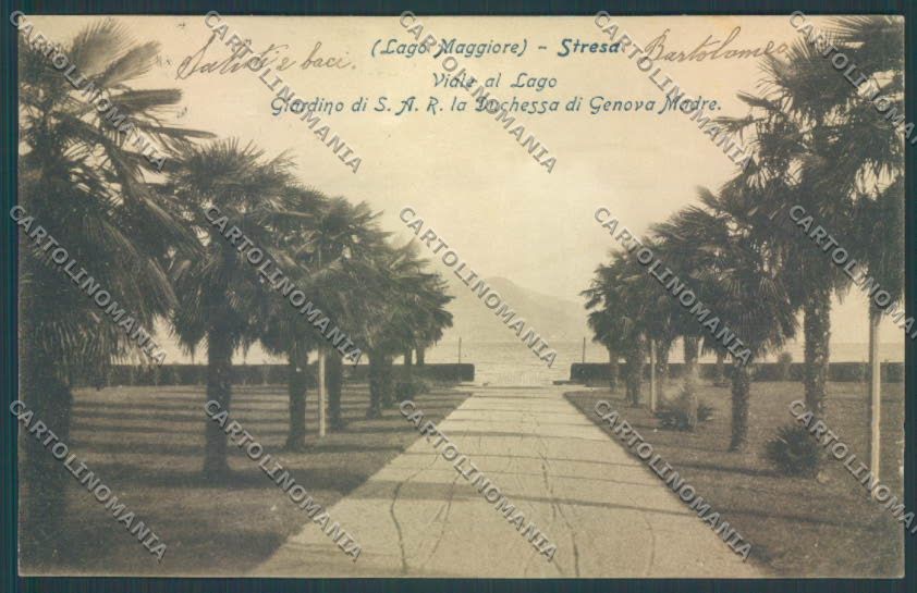 Verbania Stresa cartolina ZQ5395 – fronte