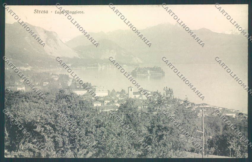 Verbania Stresa cartolina ZQ5428 – fronte