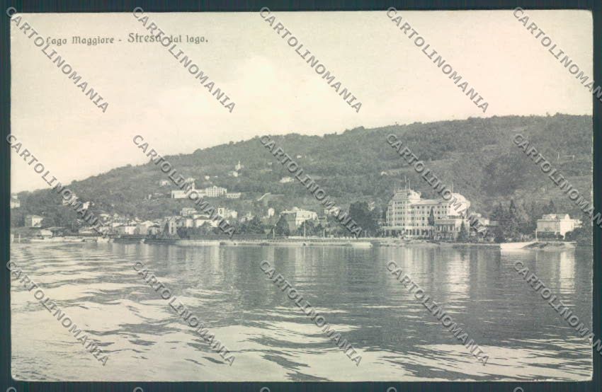 Verbania Stresa cartolina ZQ5483 – fronte