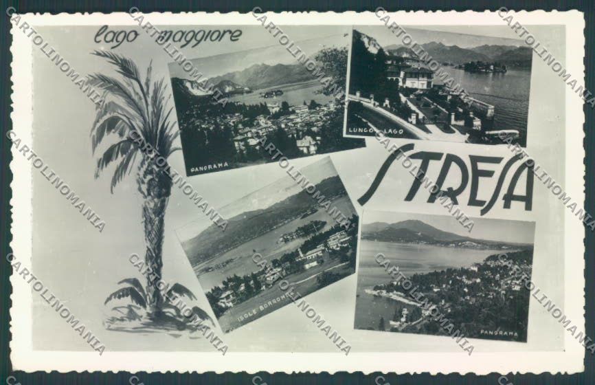 Verbania Stresa Foto cartolina ZQ5490 – fronte