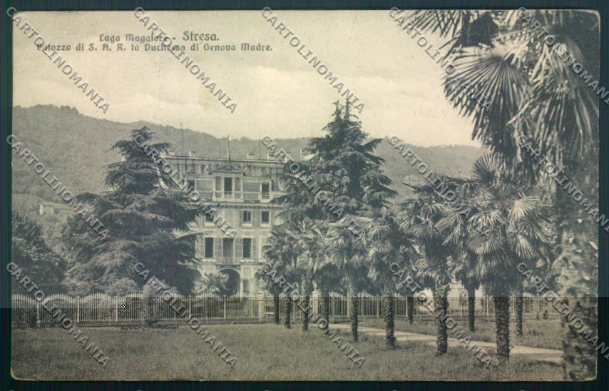 Verbania Stresa cartolina ZQ5504 – fronte