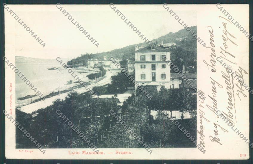 Verbania Stresa cartolina ZQ5529 – fronte
