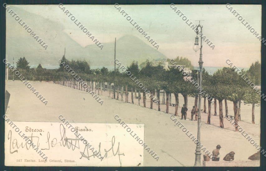 Verbania Stresa PIEGA cartolina ZQ5579 – fronte
