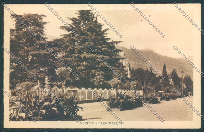 Verbania Stresa cartolina ZQ5586 – fronte