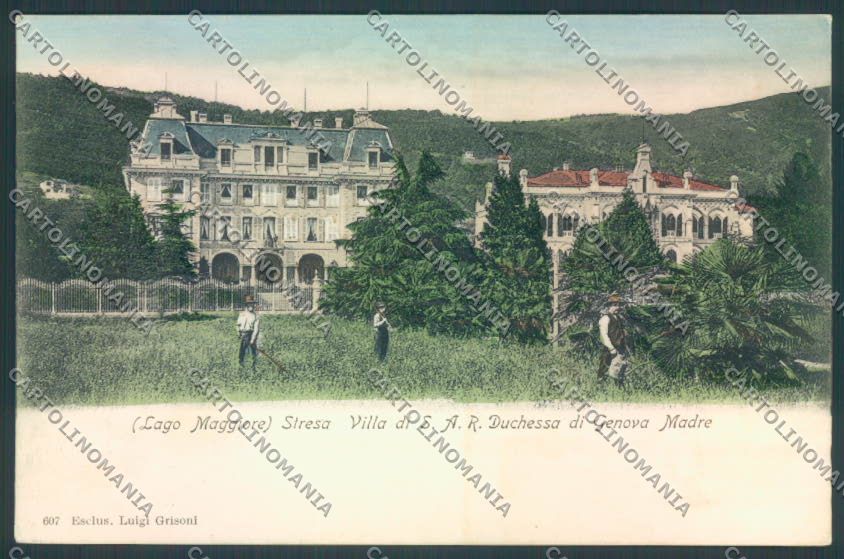 Verbania Stresa cartolina ZQ5592 – fronte