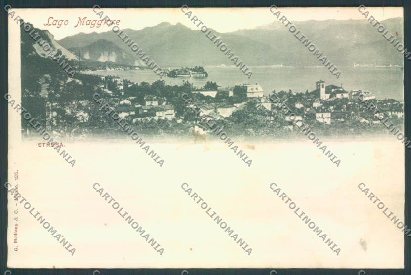 Verbania Stresa cartolina ZQ5599 – fronte