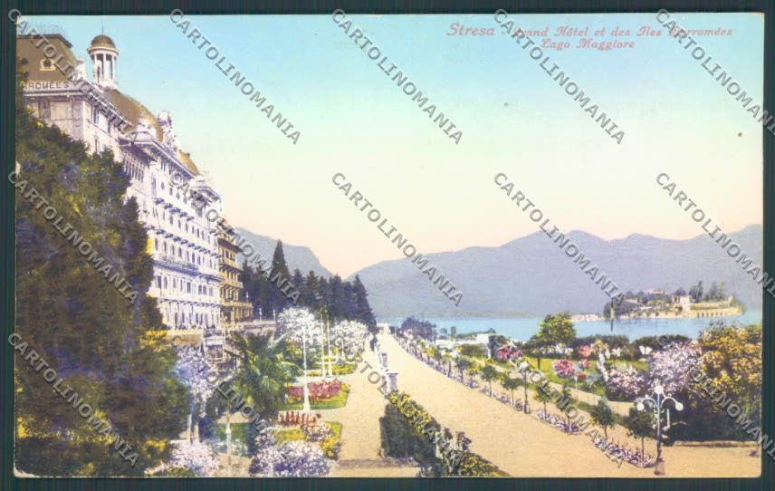 Verbania Stresa cartolina ZQ5602 – fronte